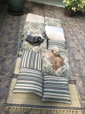 Owner Image