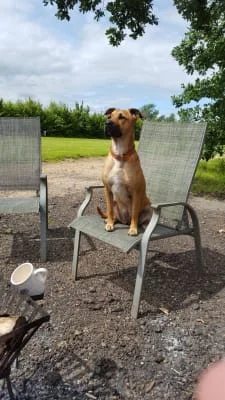 Sitter Profile Image: sophie 