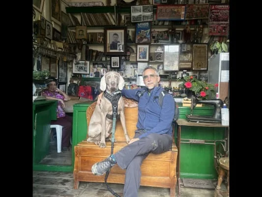 Owner Image