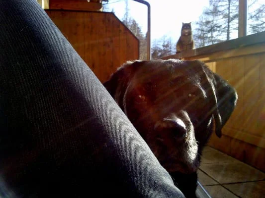 Sitter Profile Image: Sabine 