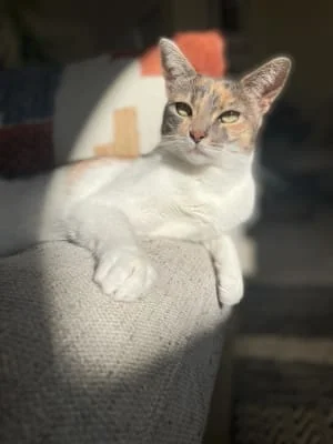 Sitter Profile Image: Lizzy 