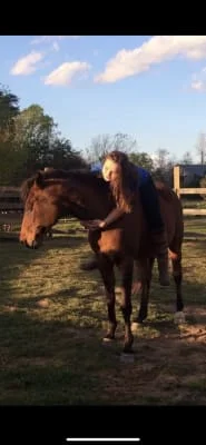 Sitter Profile Image: Meredith Brooke Nalley & William Tucker Hord 