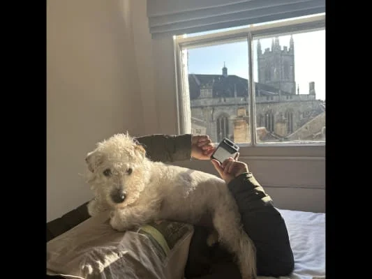 Sitter Profile Image: Milena & Waltier 