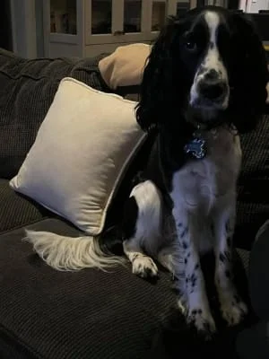 Sitter Profile Image: Shelley 
