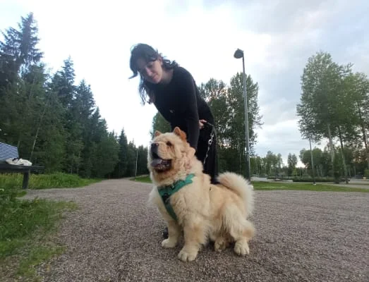Sitter Profile Image: Astor 