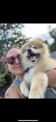 Owner Image