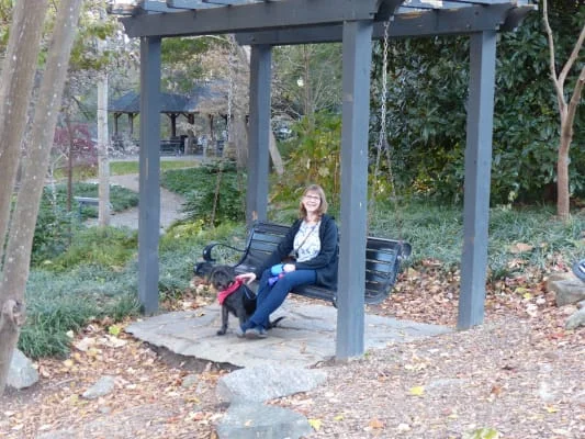 Sitter Profile Image: Sue & Clive 