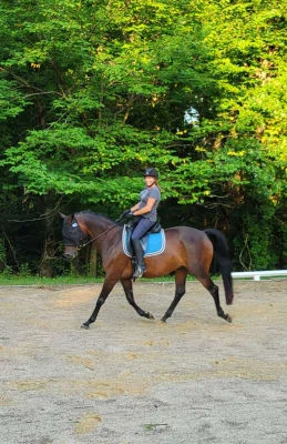 Owner Image