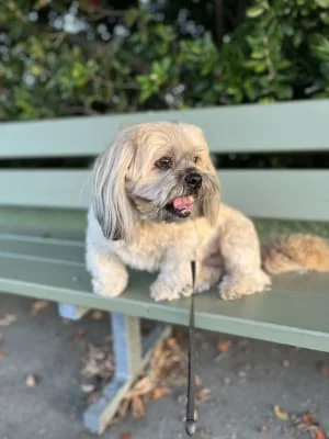 Sitter Profile Image: Chloe 