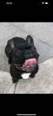 Owner Image