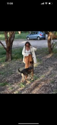 Sitter Profile Image: Chemda Tsivya 