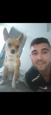 Owner Image