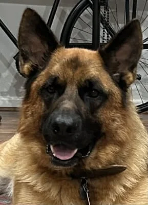 Owner Image