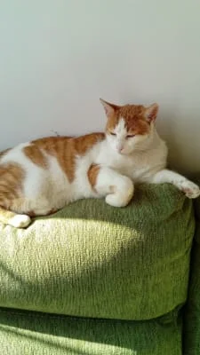 Sitter Profile Image: Merce 