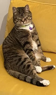 Sitter Profile Image: Timothy 