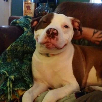 Sitter Profile Image: Thena 