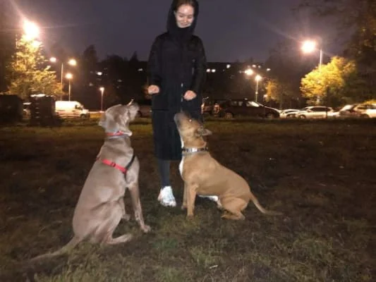 Sitter Profile Image: Saule 