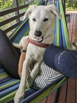Sitter Profile Image: Jenny Sophia 
