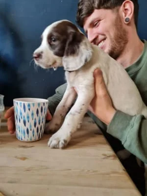 Sitter Profile Image: Lolita 