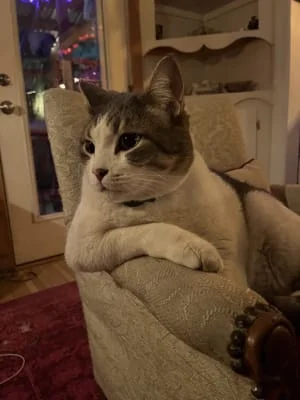 Sitter Profile Image: sage 