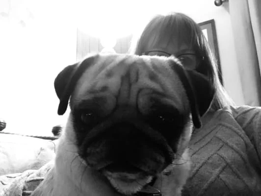Sitter Profile Image: vivienne 
