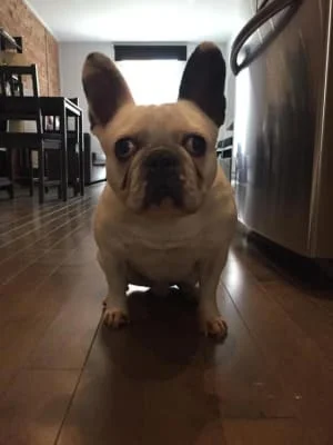 Sitter Profile Image: Tchan 
