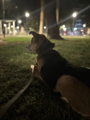 Sitter Profile Image: Noeli 