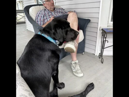Sitter Profile Image: Molly 