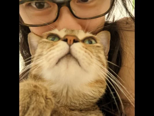 Sitter Profile Image: Shao-Chi (Chi) 