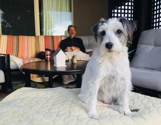 Sitter Profile Image: Tzabia & Barry 
