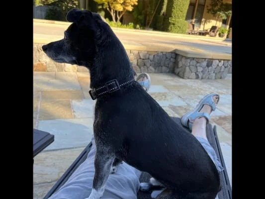Sitter Profile Image: Marji 