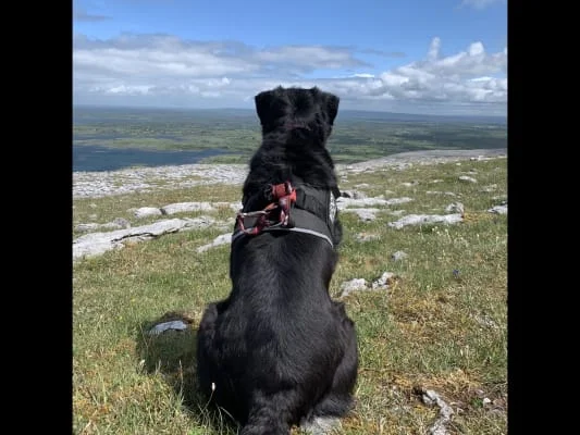 Sitter Profile Image: Hannah 