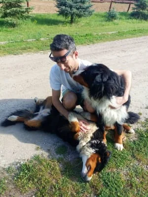 Sitter Profile Image: Balazs 
