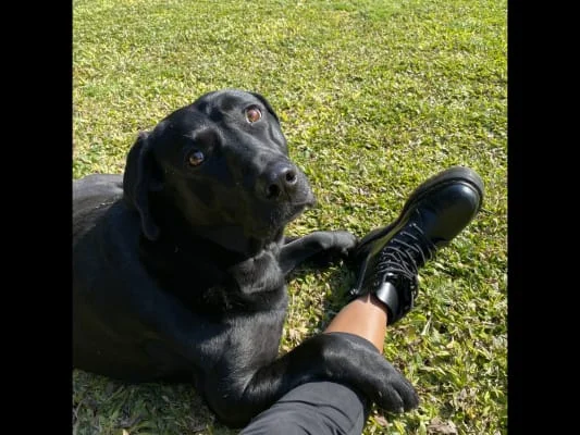 Sitter Profile Image: paz 
