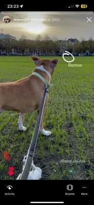Sitter Profile Image: Shuxin 