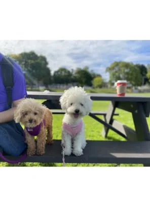 Sitter Profile Image: Mel & Cloud 