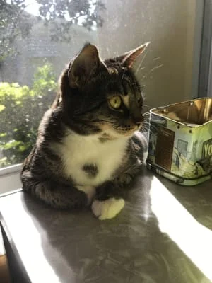 Sitter Profile Image: Madeline 