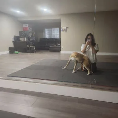 Sitter Profile Image: Sarang & Yeajin 