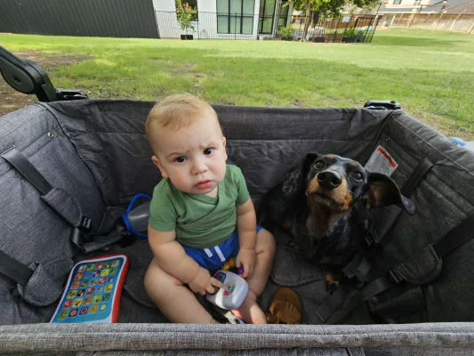 Sitter Profile Image: Kaitlen & Harrison 