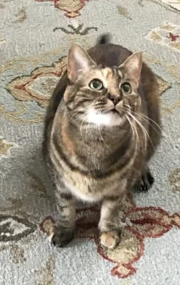 Sitter Profile Image: Brenda Lee 