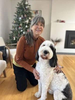 Owner Image