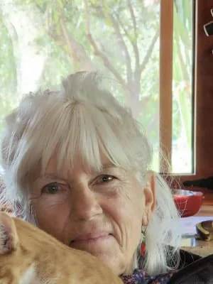 Owner Image