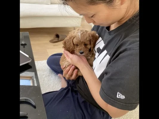Sitter Profile Image: Tien yee Christina 
