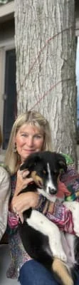 Owner Image