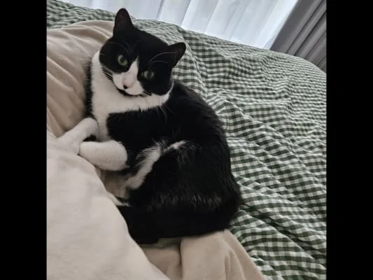 Sitter Profile Image: Arya 