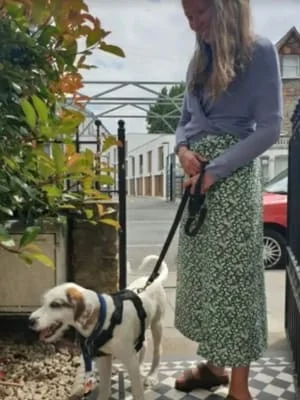 Owner Image