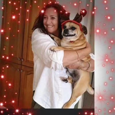 Owner Image