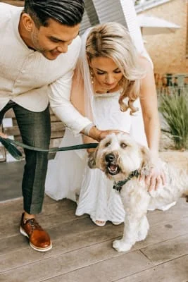Owner Image