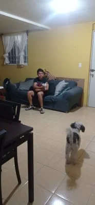 Sitter Profile Image: Juan Antonio 