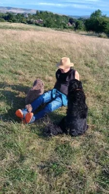 Sitter Profile Image: John Martin 